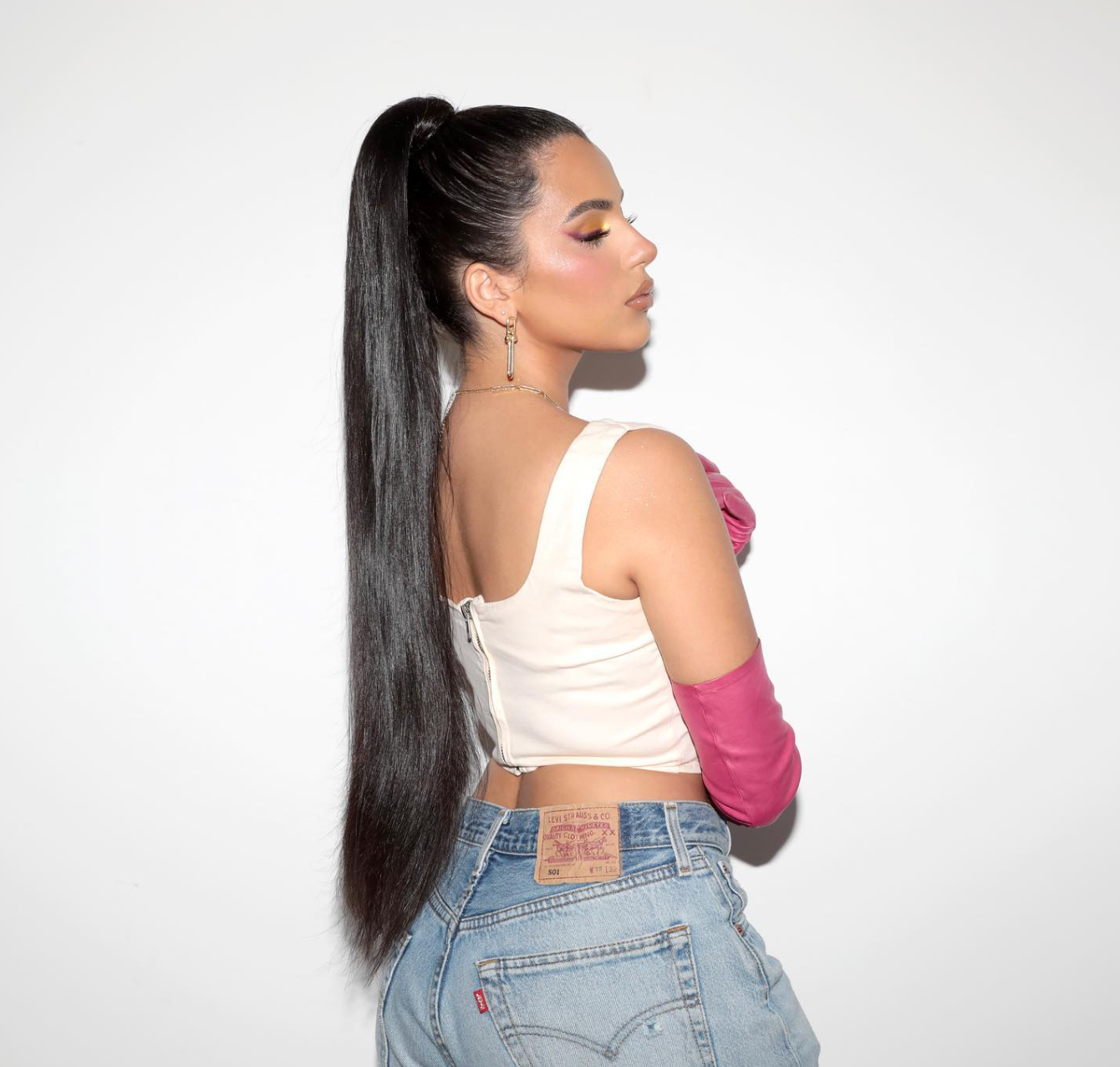 Ponytail Lisse